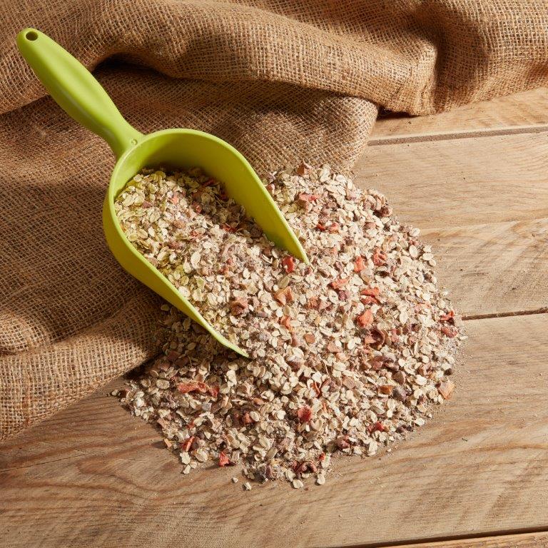 NATURE'S BEST Flohsamen Mash