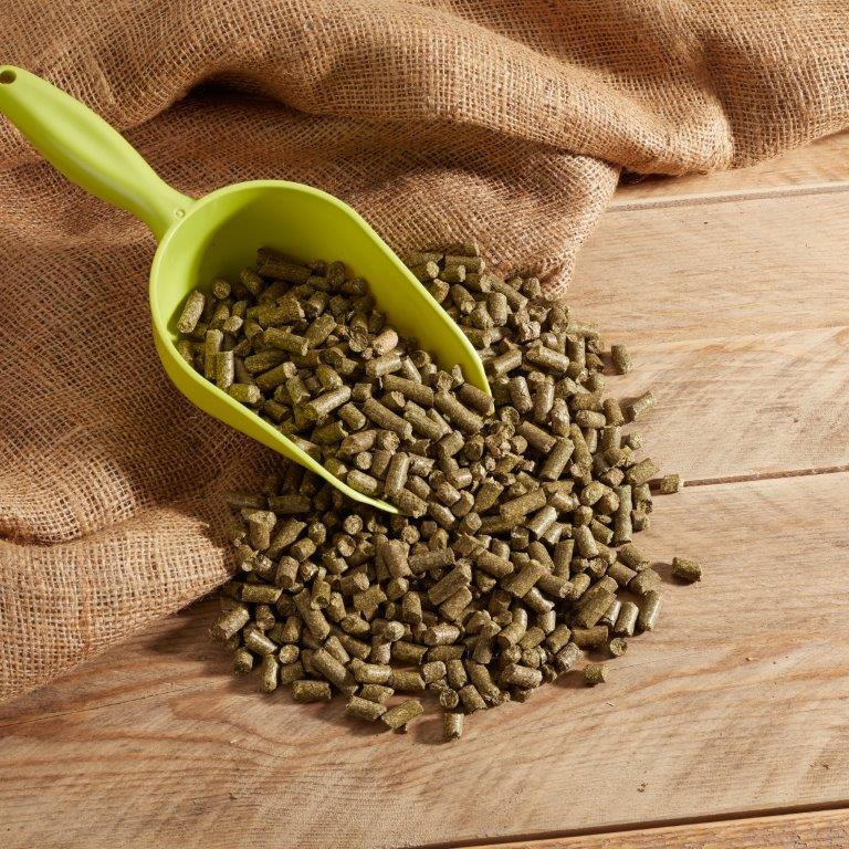 NATURE'S BEST Esparsette Cobs